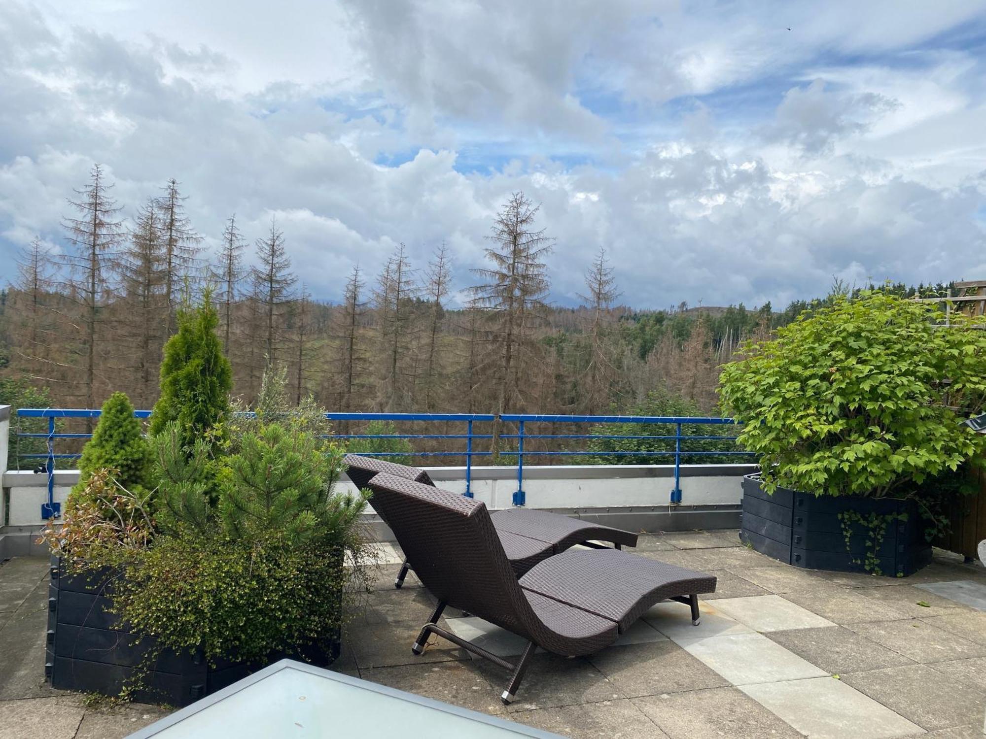 Ferienwohnung Harz #3, Pool, Sauna, Wlan Hohegeiß Eksteriør billede